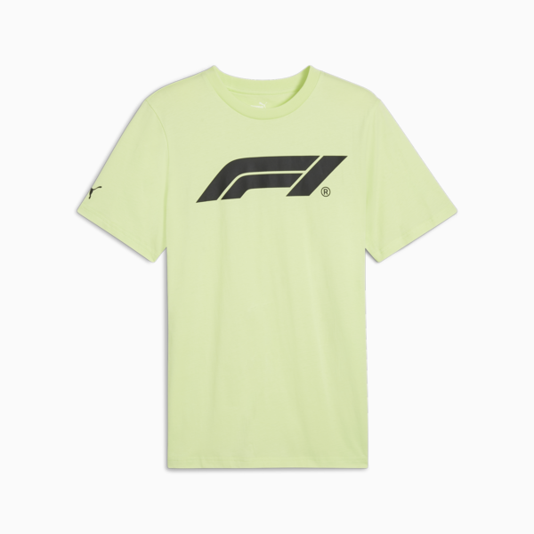 F1® Essentials Men's Motorsport Logo Tee, Cool Cucumber, large-ZAF