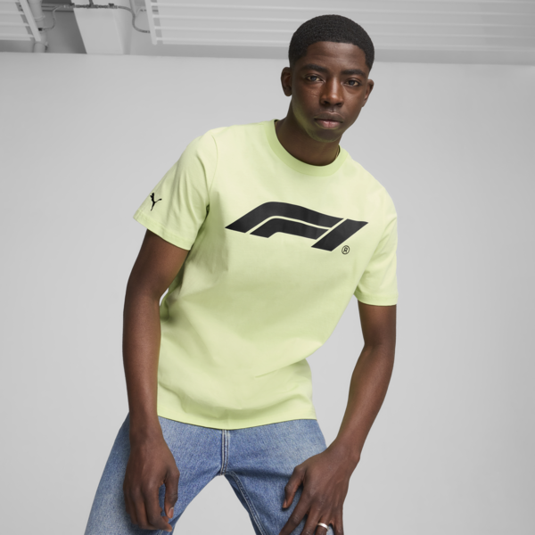 F1® Essentials Men's Motorsport Logo Tee, Cool Cucumber, large-ZAF