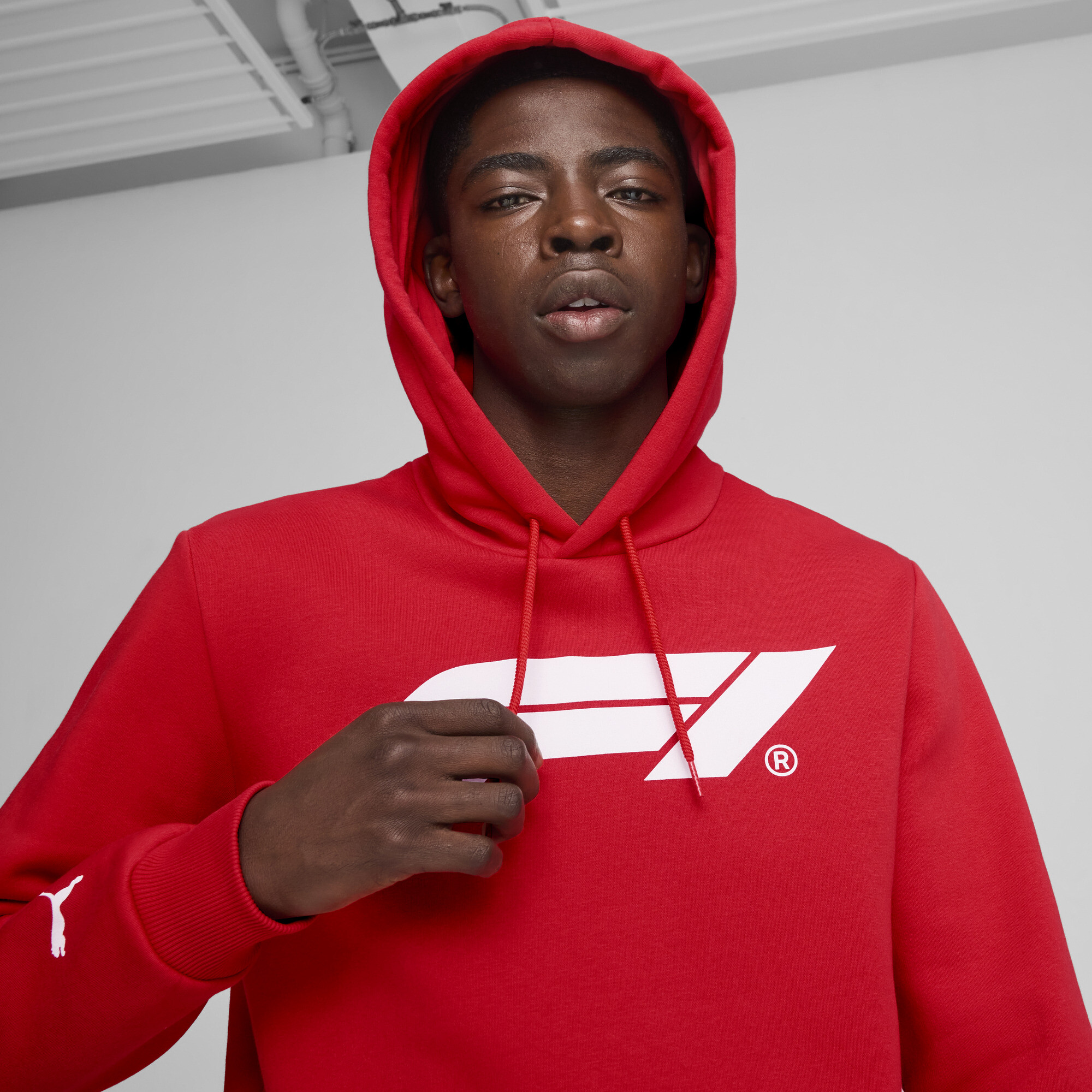 Men's Puma F1® ESS Logo Fleece Hoodie, Red, Size M, Clothing