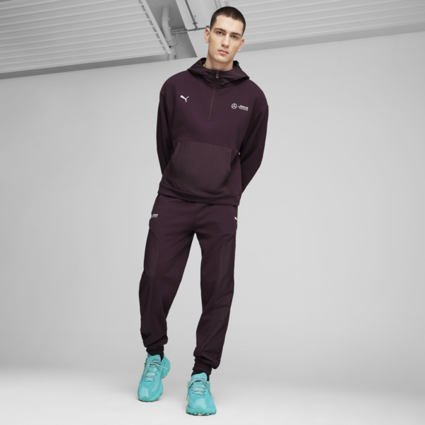 Campera con capucha Mercedes-AMG Petronas F1® Statement para hombre, Midnight Plum, large-ARG