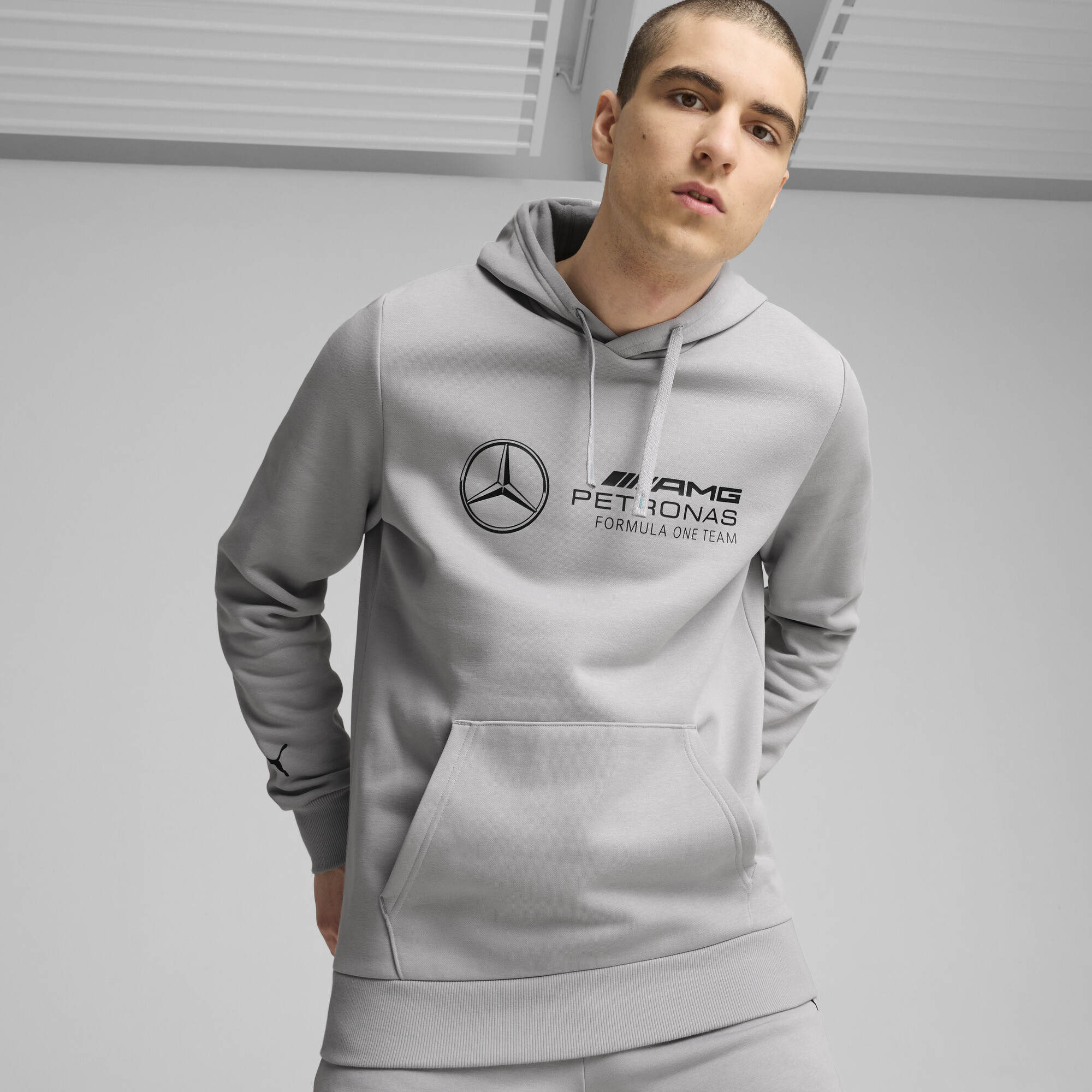 Męska Bluza Z Kapturem Mercedes-AMG Petronas F1® ESS