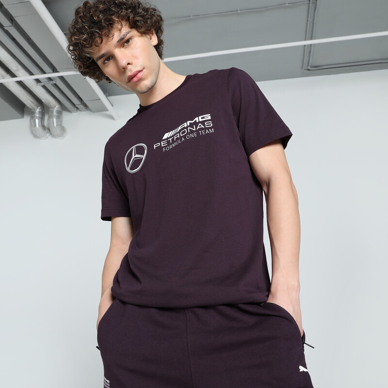

Men's PUMA Mercedes-AMG Petronas F1® Logo Motorsport Tee