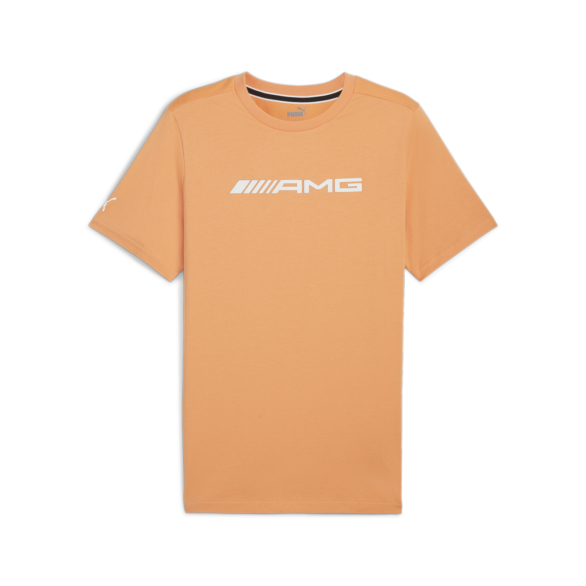Футболка Mercedes-AMG Motorsport Logo Tee Men | Цвет: Оранжевый