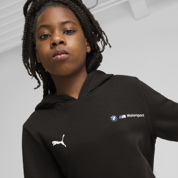 Sudadera  BMW M Motorsport, PUMA Black, large-MEX