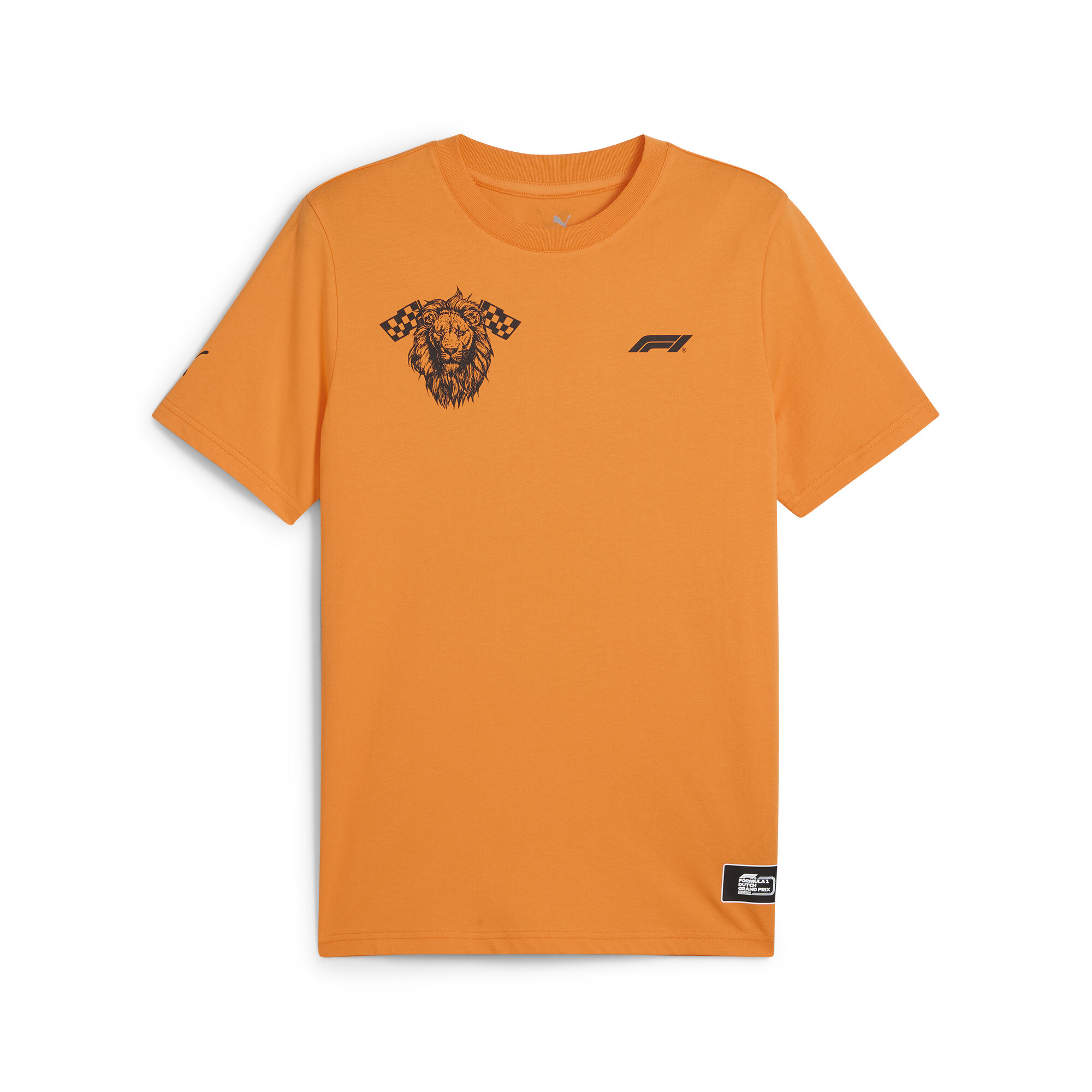 Men's Puma F1® Netherlands T-Shirt, Orange, Size XL, Clothing