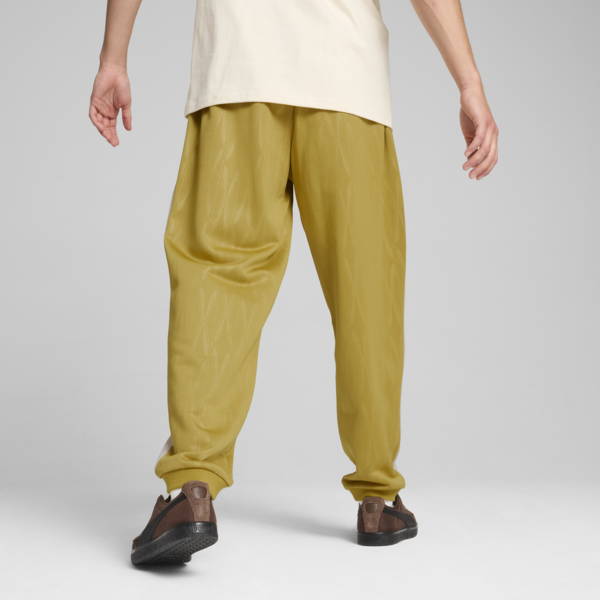 The NeverWorn IV T7 Pants Men, Golden Fog, large-ZAF