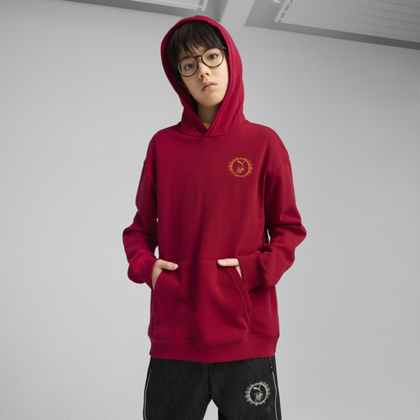 PUMA x HARRY POTTER Relaxed Hoodie Youth, Dark Crimson, large-ZAF