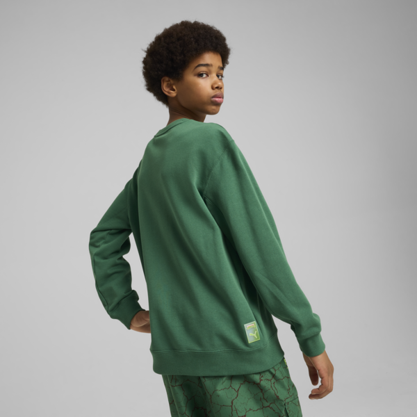 Sudadera PUMA HOOPS x TORTUGAS NINJA para adolescentes, Vine, large-MEX