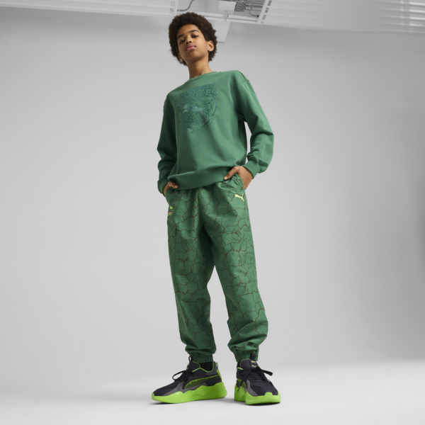 Sudadera PUMA HOOPS x TORTUGAS NINJA para adolescentes, Vine, large-MEX