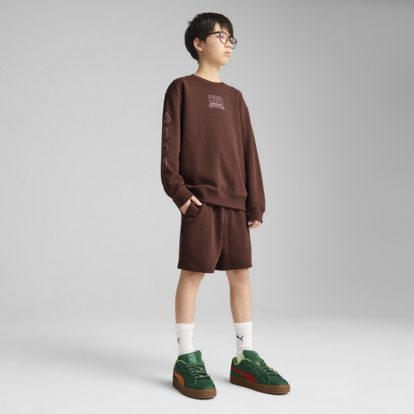 Sudadera PUMA HOOPS x TORTUGAS NINJA para adolescentes, Chocotart, large-MEX