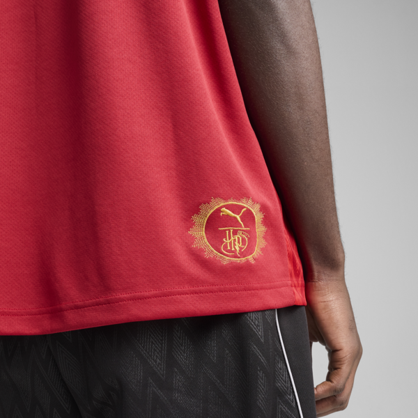 Camiseta de fútbol PUMA x HARRY POTTER, Dark Crimson, large-ARG