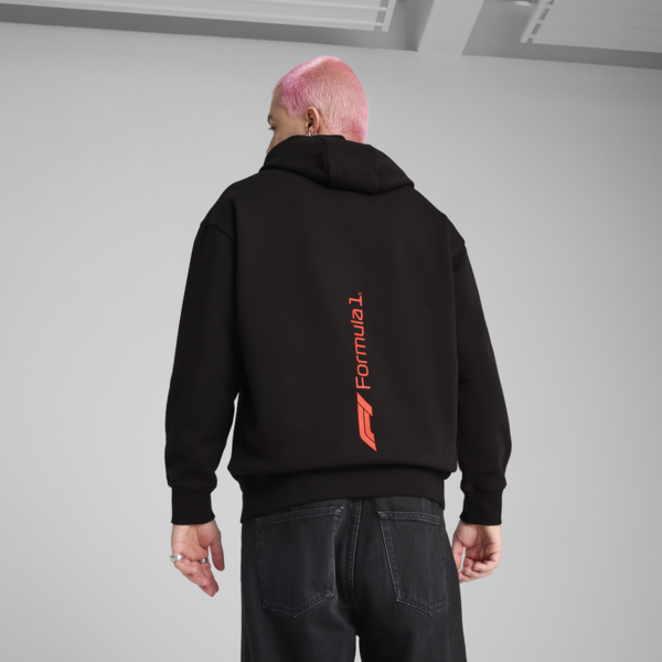 F1® ESS+ Graphic Hoodie Men, PUMA Black, large-ZAF