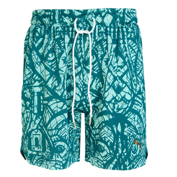 Hoops Mexico x NBA Shorts, Aquatic, large-MEX