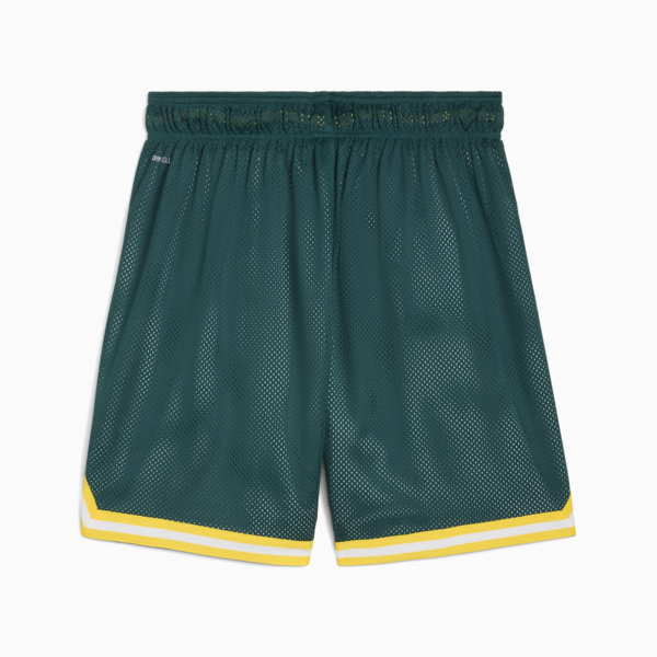 PUMA HOOPS x SE PALMEIRAS Basketball Shorts Men, Malachite-Jade Green-AOP, large-MEX