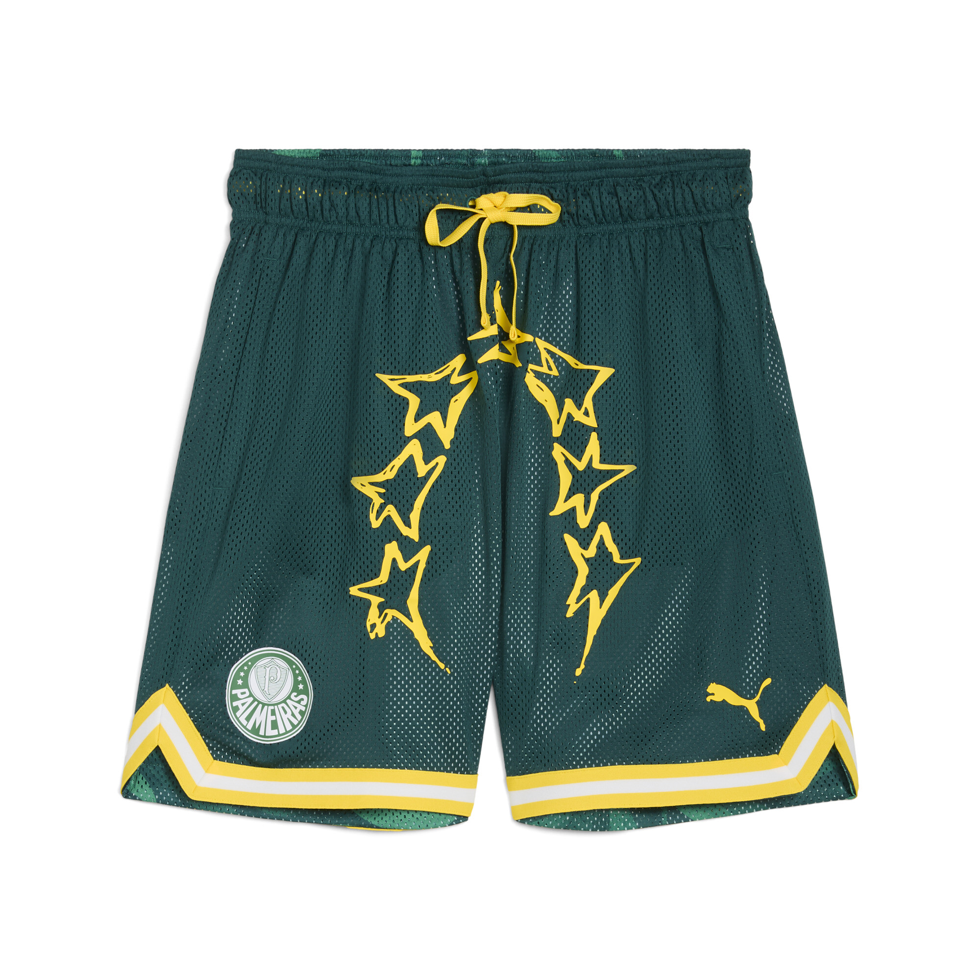 Puma HOOPS x SE PALMEIRAS Basketballshorts Herren | Mit Other Pattern | Malachite/Jade Green/Aop | Größe: 4XL