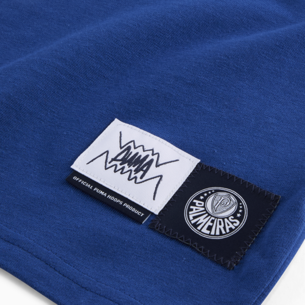 PUMA HOOPS x SE PALMEIRAS Basketball Tee Men, Clyde Royal, large-MEX
