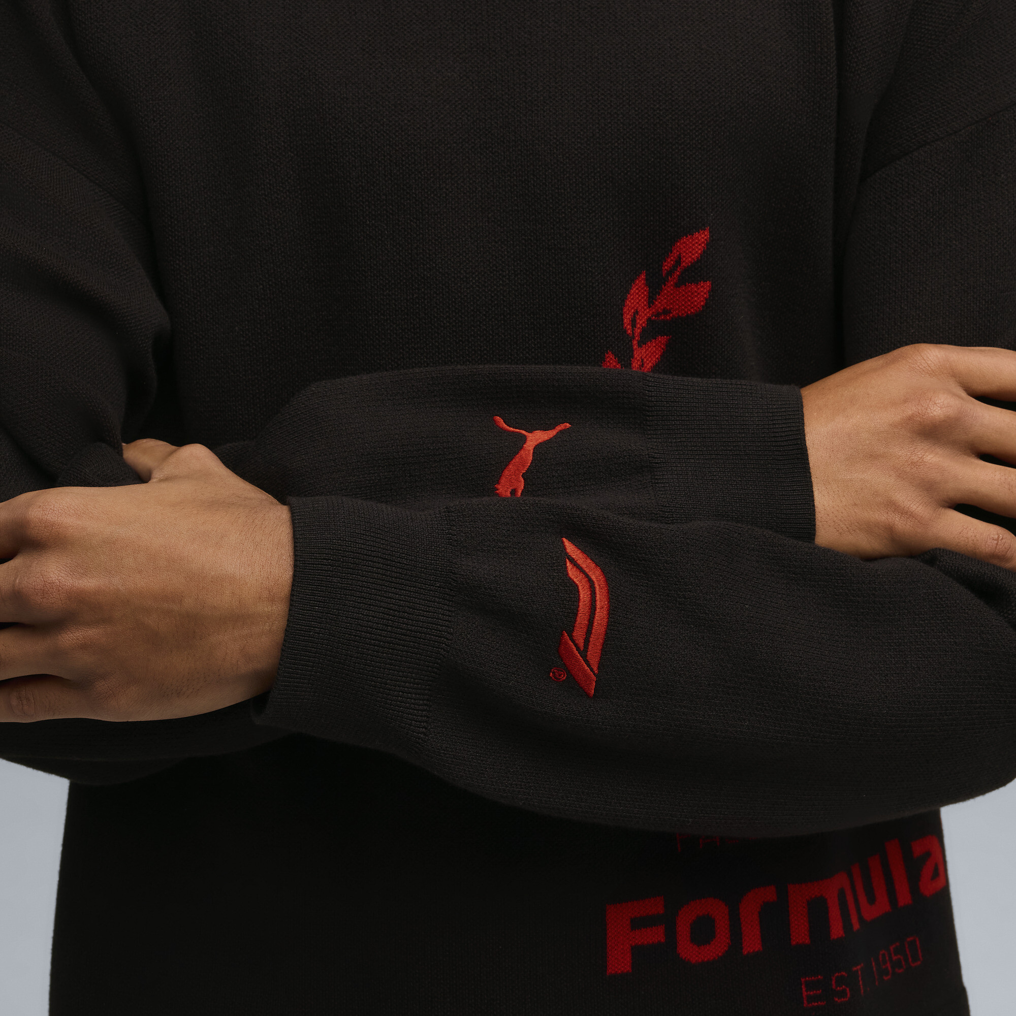 PUMA F1Â® 75 Yrs gebreide top met ronde hals voor Heren, Zwart, Maat L thumbnail 2