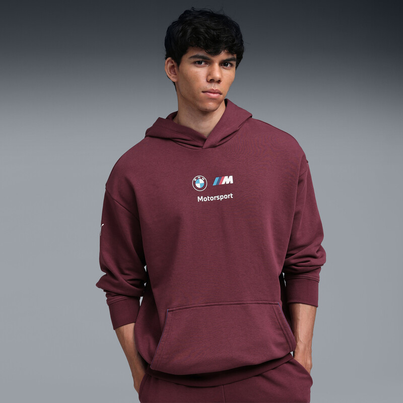 

Men's PUMA BMW M Motorsport Essentials Hoodie