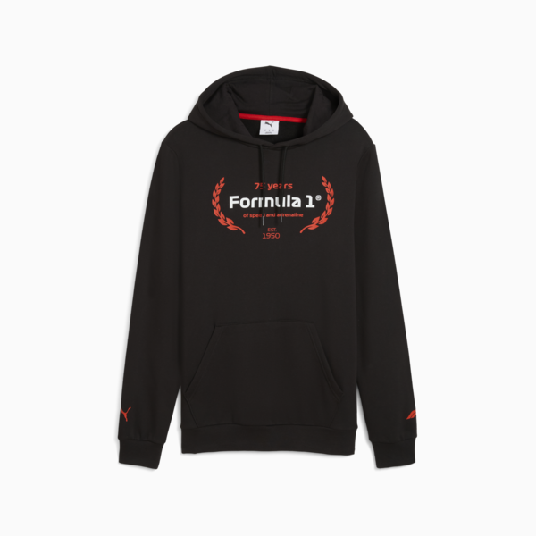 F1® Essentials Logo Graphic Hoodie Men, PUMA Black, large-ZAF