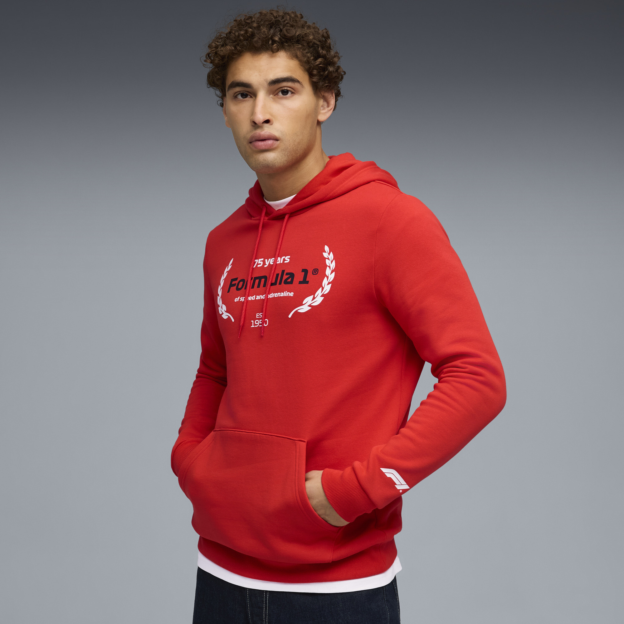 PUMA F1Â® Essentials Logo grafische hoodie voor Heren, Rood, Maat 3XL thumbnail 4