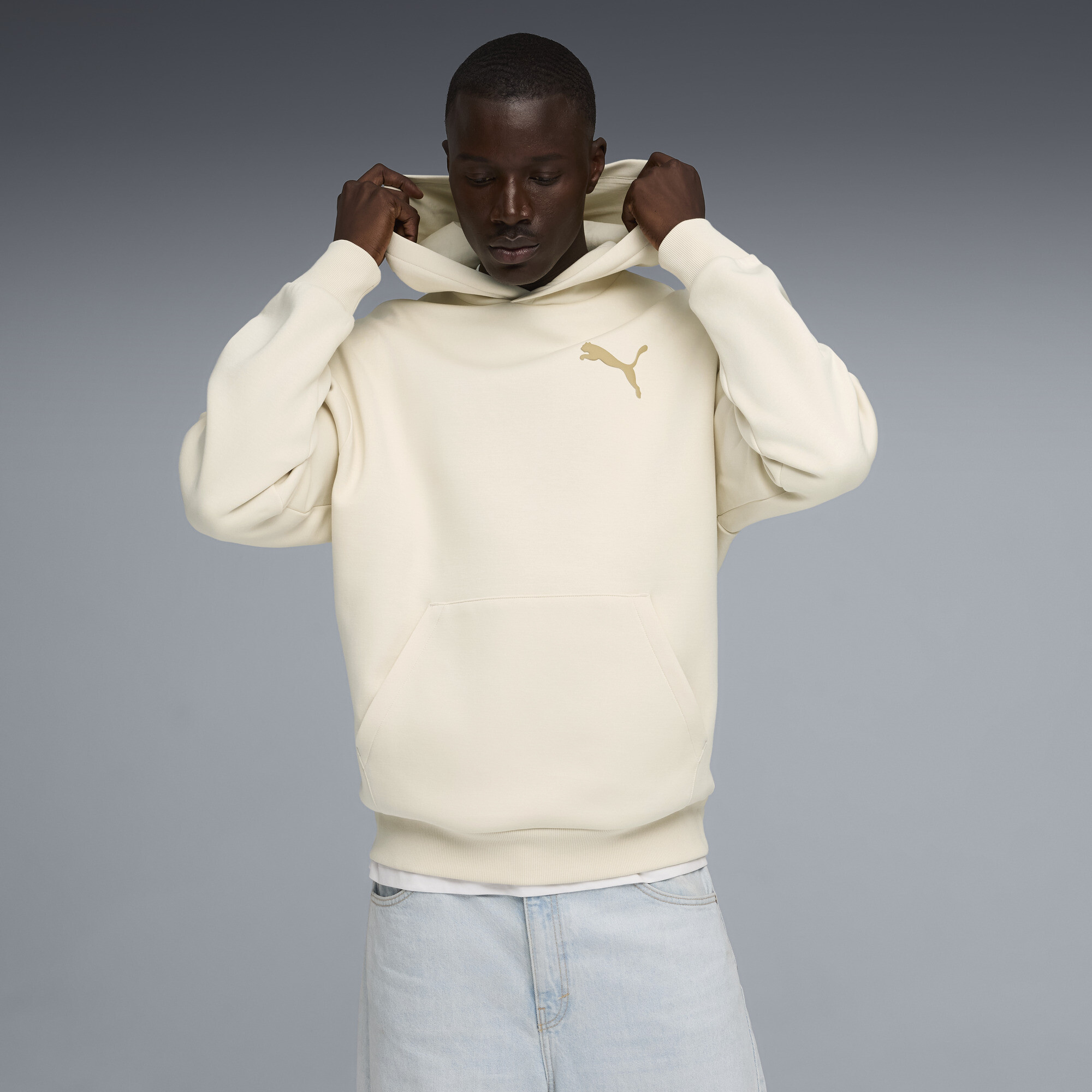 Худі Essentials Elevated Cat Logo Relaxed Hoodie Men | Колір