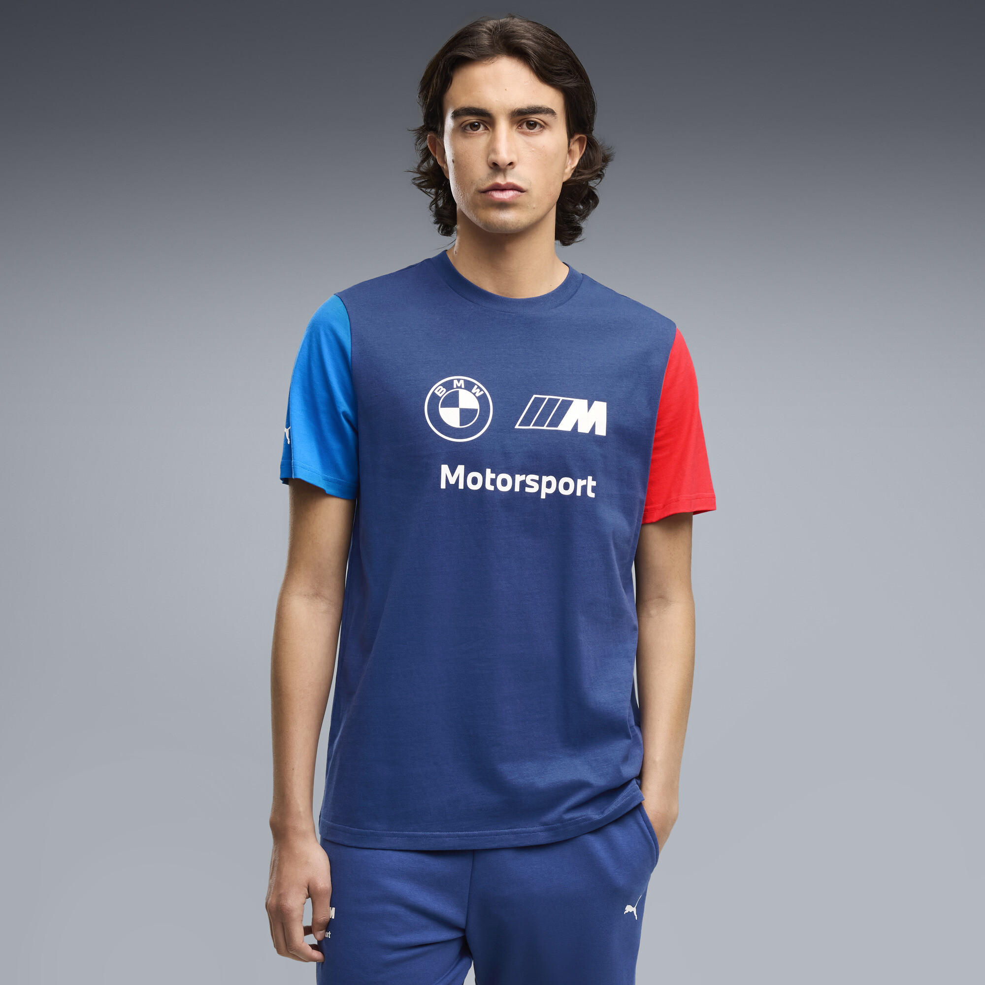Polera BMW M Motorsport Essentials Big Logo para hombre
