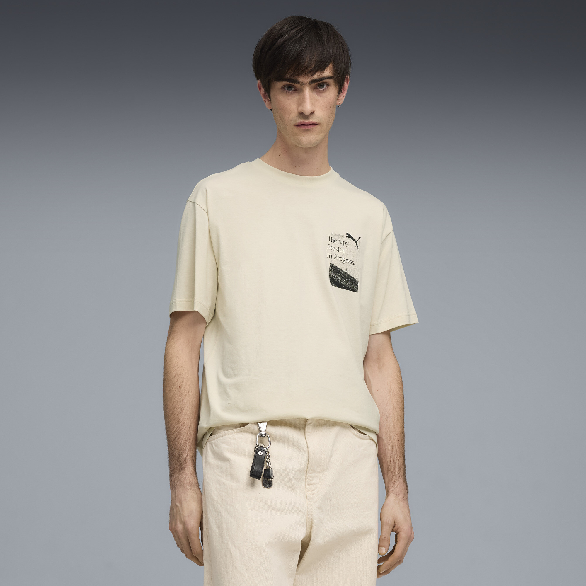 Футболка GRAPHICS Tee | Цвет: Белый | Alpine Snow | Puma | Арт