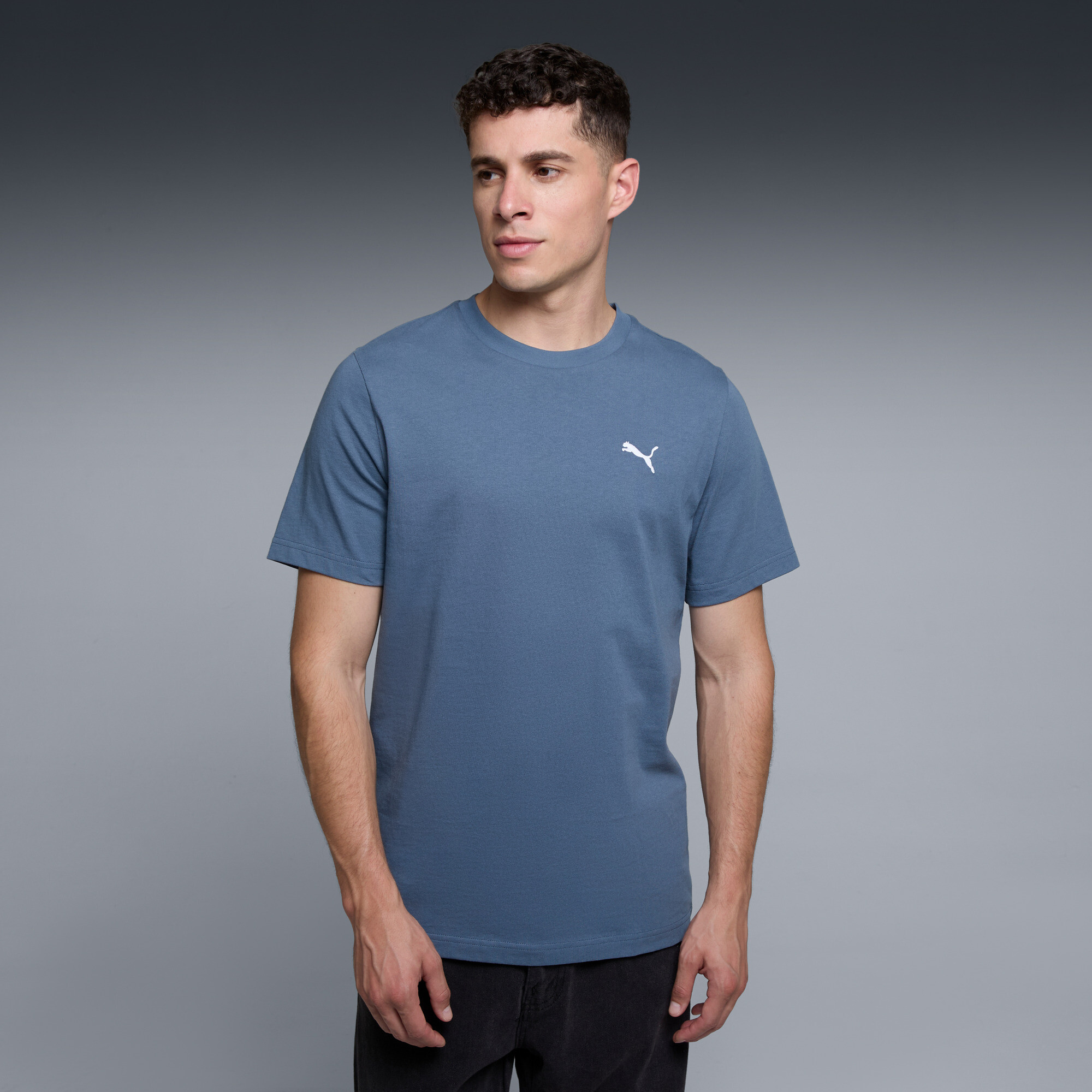 Polera Essentials Regular para hombre