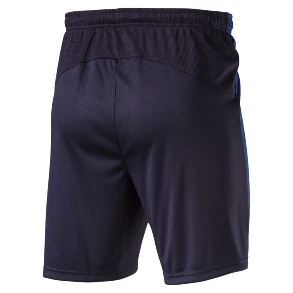 фото Шорты evotrg shorts puma