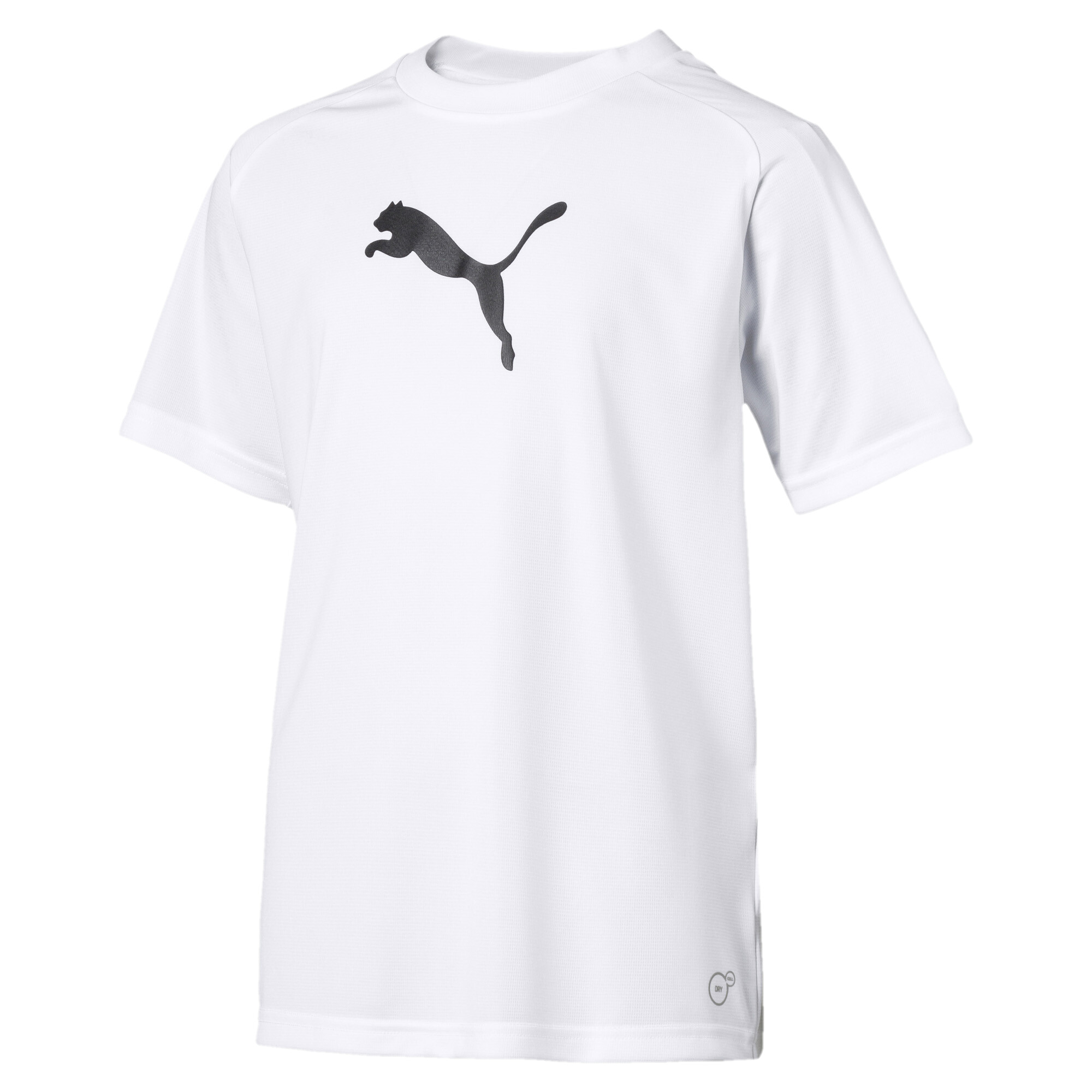 Футболка пума. Майка трен. Puma Liga Sideline Tee (ss18) 65532104. Белая футболка мужская Пума Пума. Майка Пума белая мужская. Футболка Puma Dry Cell.