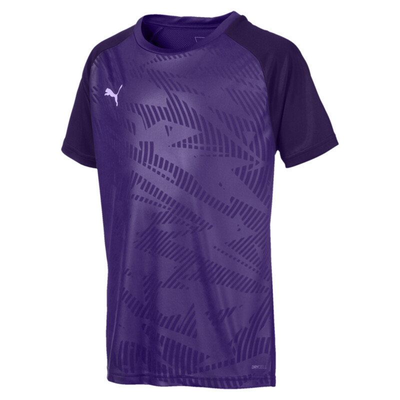 

PUMA CUP dryCELL Training Kids' Football Jersey