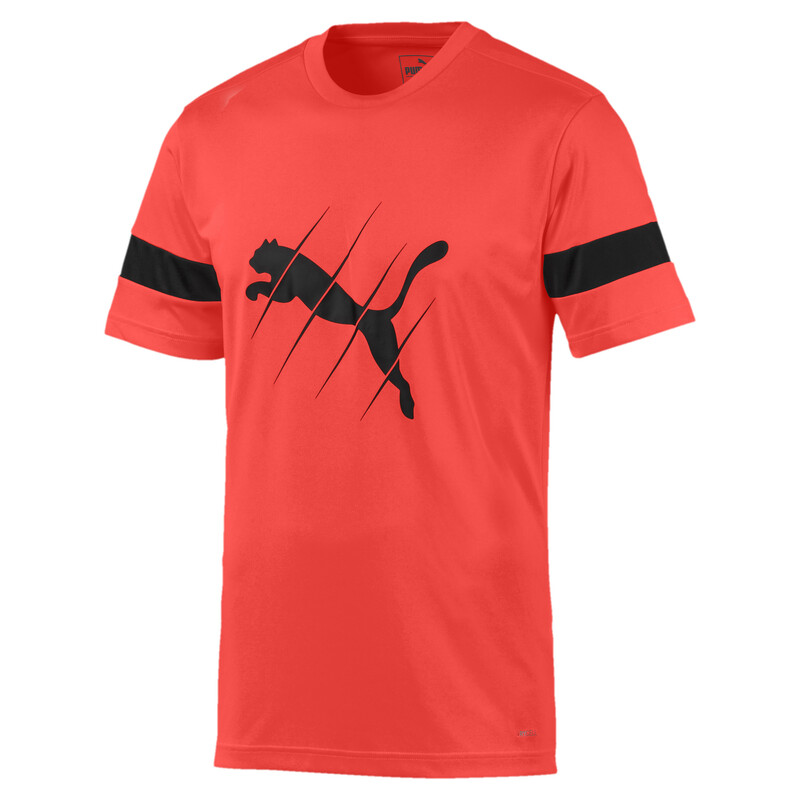 

Men's PUMA ftblPLAY Logo Tee