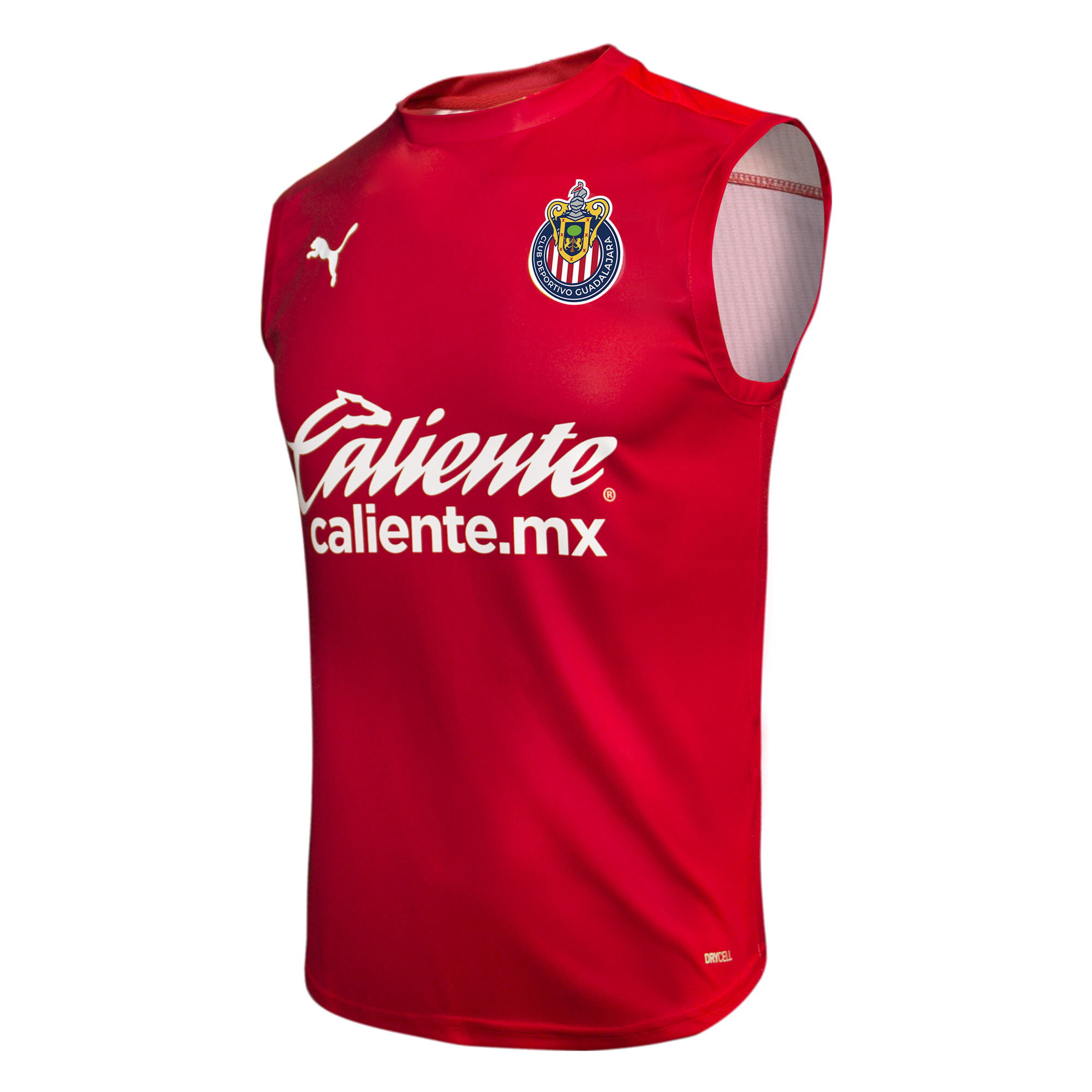 playera de chivas puma