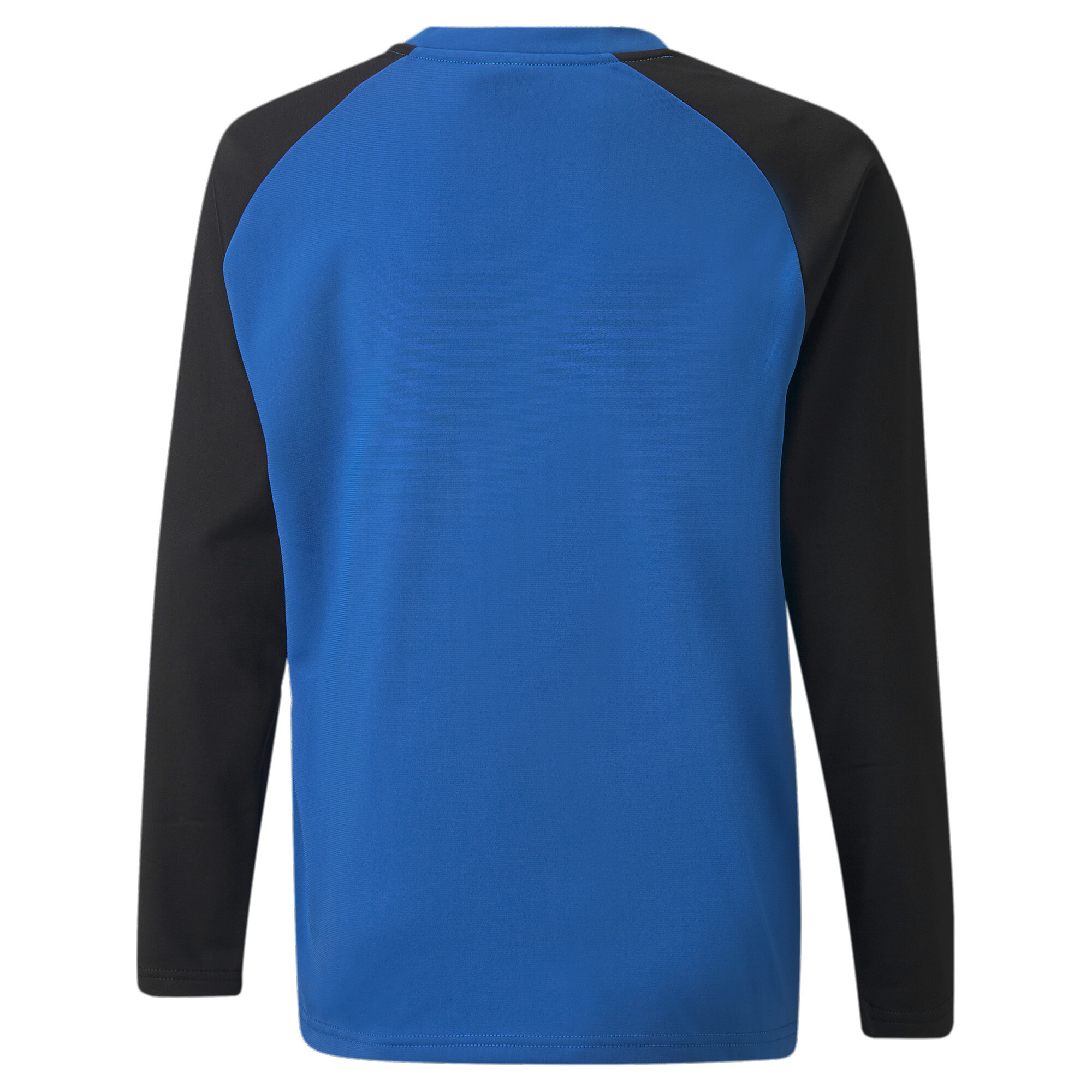 Puma Team LIGA Training Youth Football Sweater, Blue, Size 15-16Y, Clothing