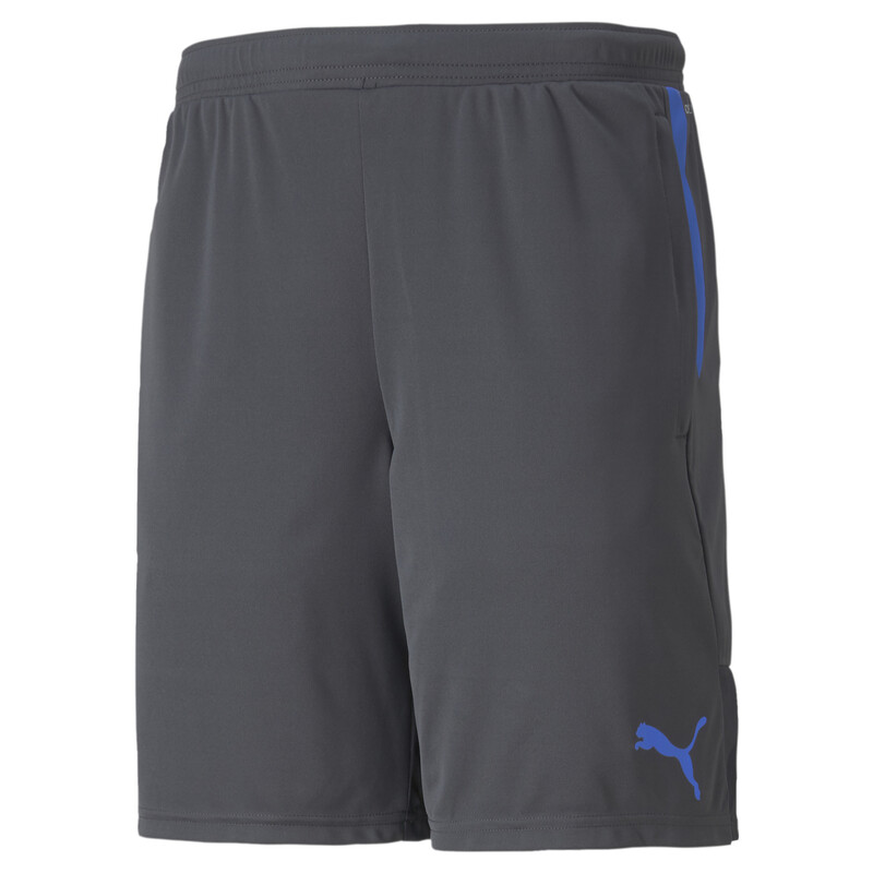 

Men's PUMA IndividualCUP Shorts