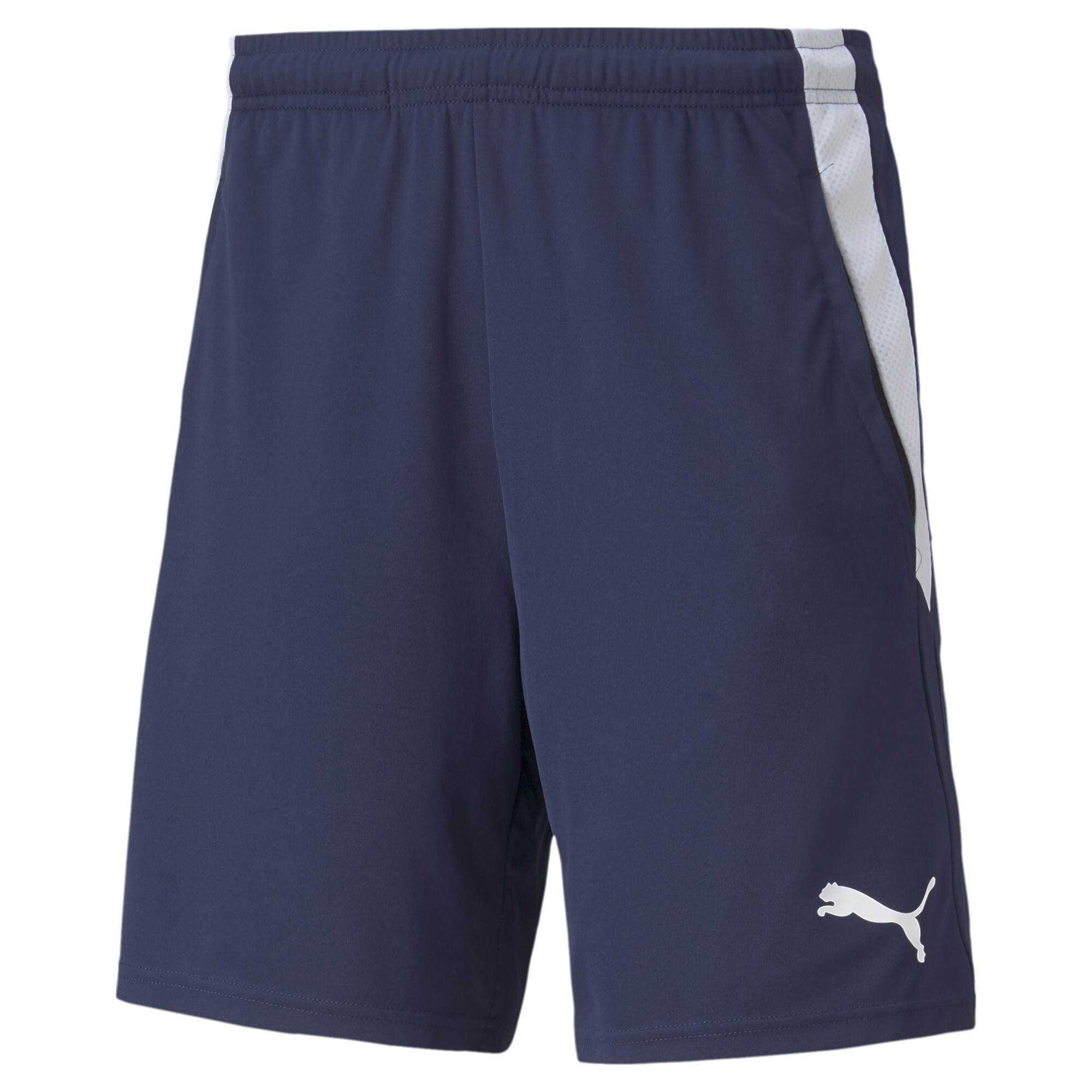 Men's Puma Team LIGA Training's Football Shorts, Blue, Size M, Sport