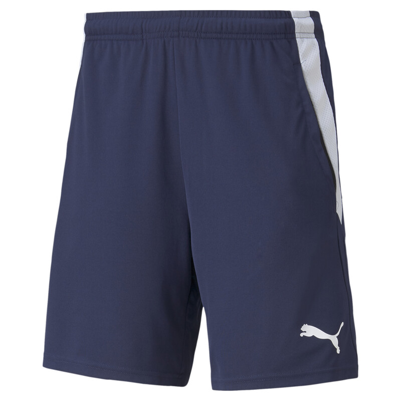 

Men's PUMA teamLIGA Training Football Shorts