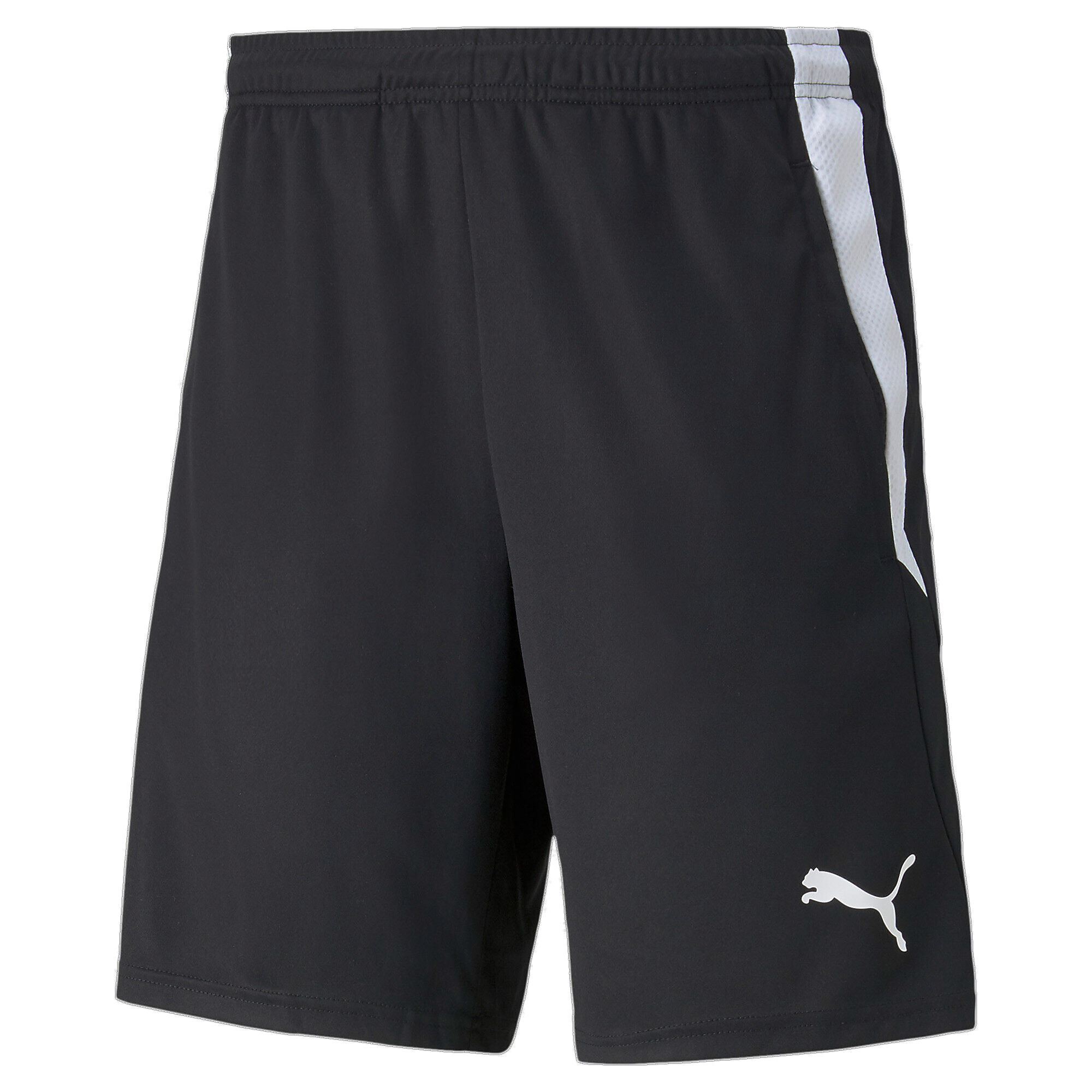 ＜プーマ公式通販＞ プーマ メンズ サッカー TEAMLIGA トレーニングショーツ メンズ Puma Black-Puma White ｜PUMA.com