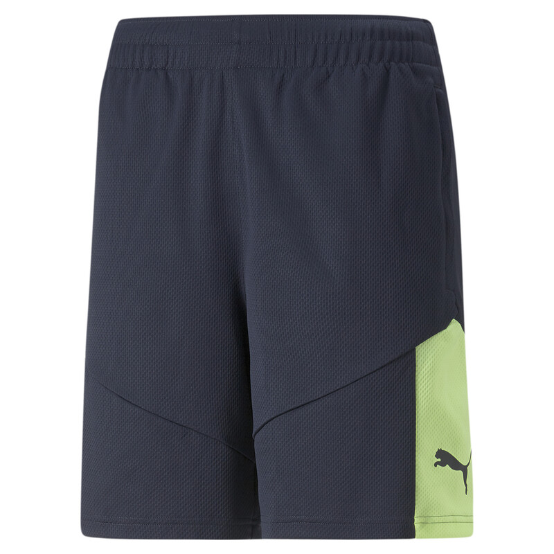

Men's PUMA individualFINAL Football Training Shorts