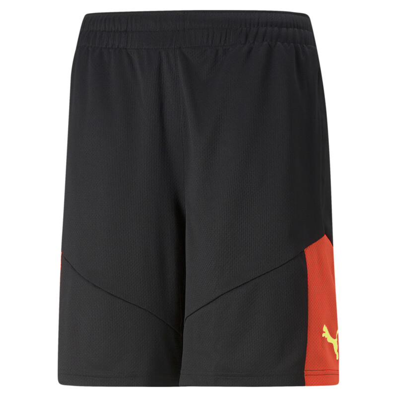 

Men's PUMA individualFINAL Football Training Shorts