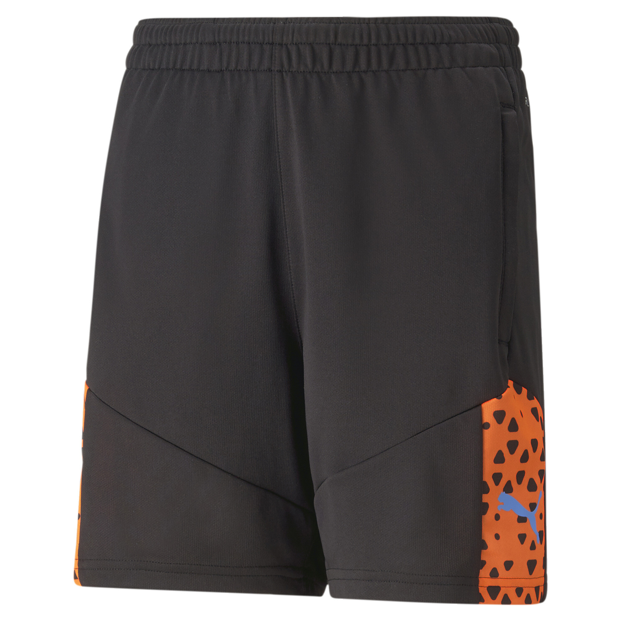 Puma Individual CUP Football Training Shorts Youth, Black, Size 5-6Y, Clothing