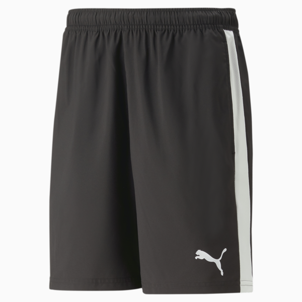 teamLIGA Shorts Men, PUMA Black, large-ZAF