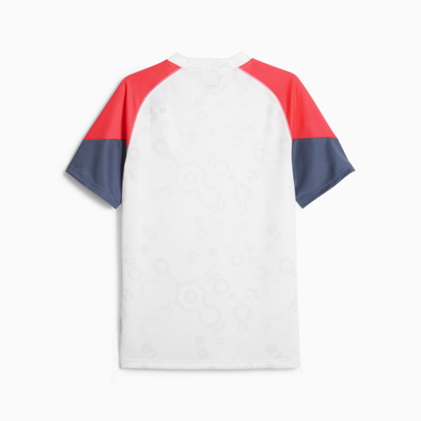 individualCUP Football Jersey, PUMA White-Fire Orchid, large-ZAF