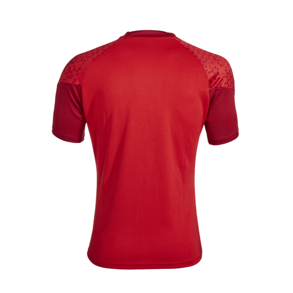 Camiseta de entrenamiento C.A. Independiente, PUMA Red-Chili Pepper-Chili Pepper, large-ARG