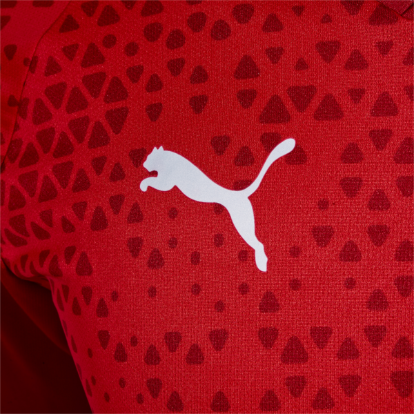 Camiseta de entrenamiento C.A. Independiente, PUMA Red-Chili Pepper-Chili Pepper, large-ARG