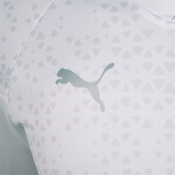 Camiseta de entrenamiento C.A. Independiente, PUMA White-Feather Gray-Feather Gray, large-ARG