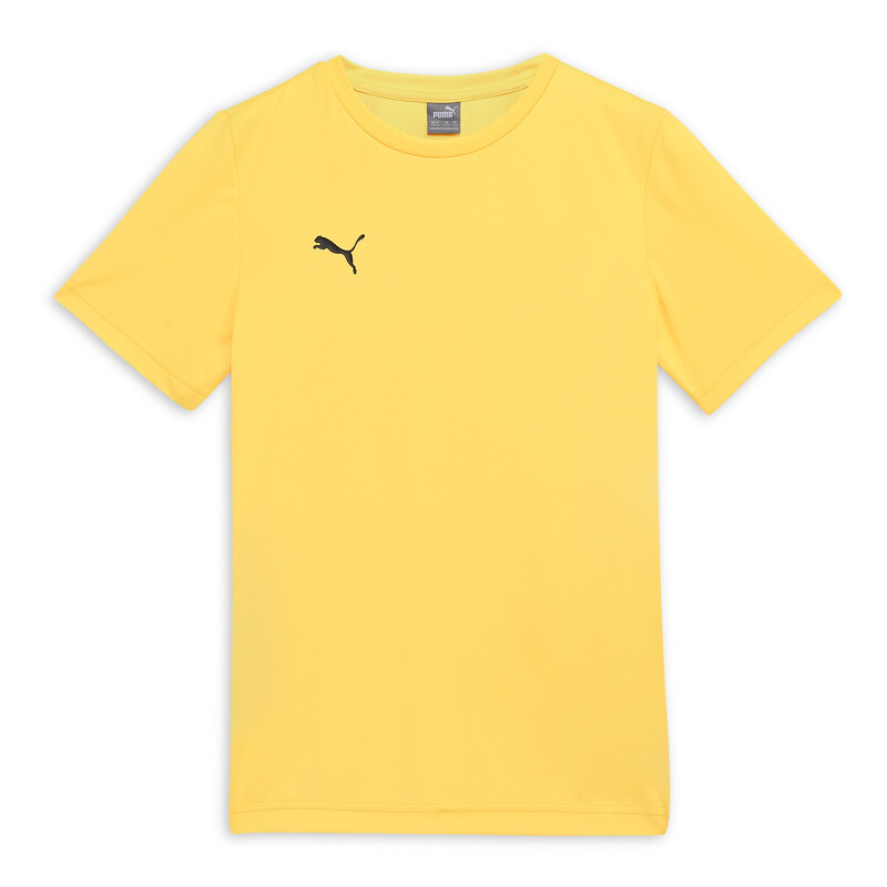 

PUMA Cricket Teamwear Youth Plain Tee