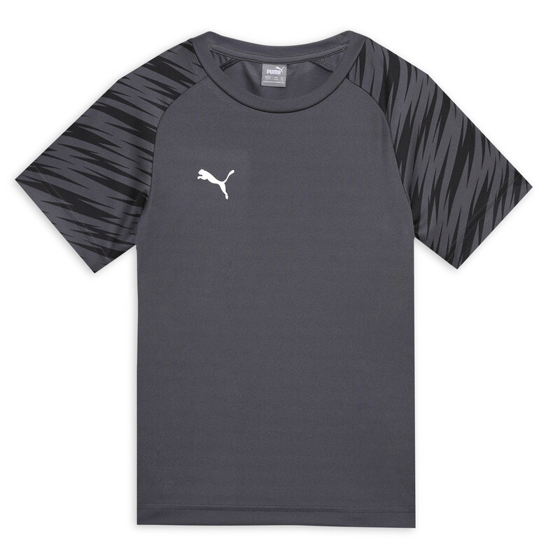 PUMA Cricket Teamwear Youth Tee