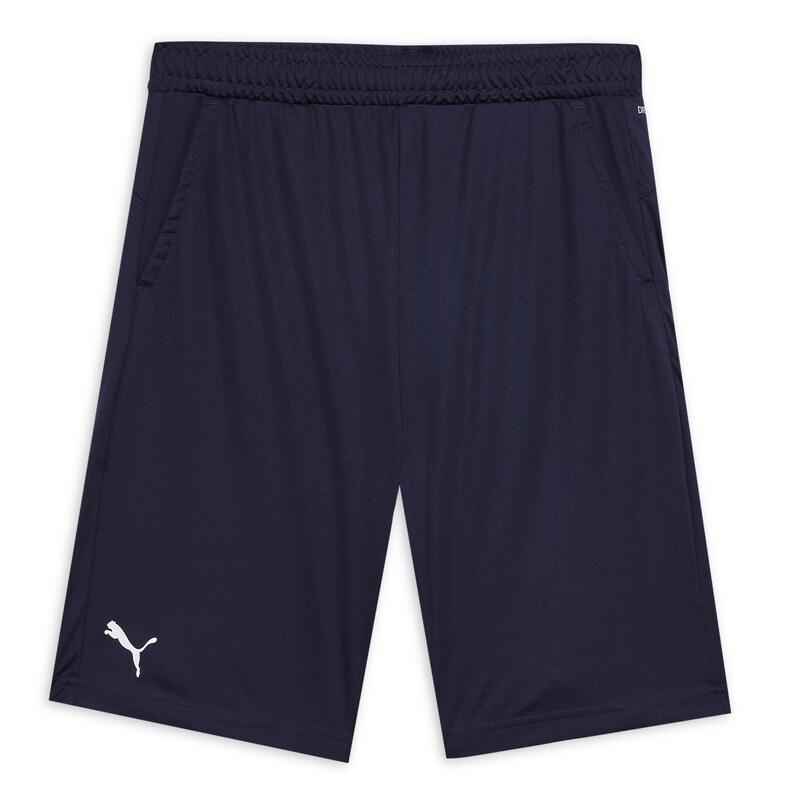 

PUMA Cricket Teamwear Youth Shorts