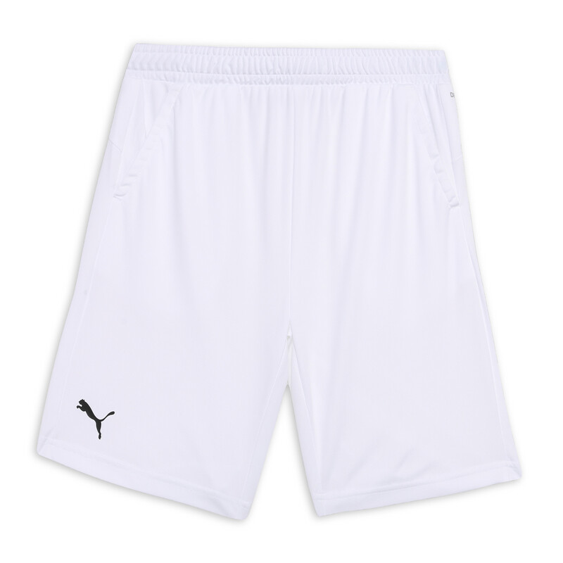 

PUMA Cricket Teamwear Youth Shorts